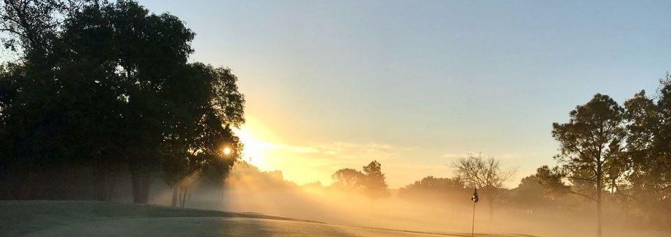 Pearland Golf Club - photo 4