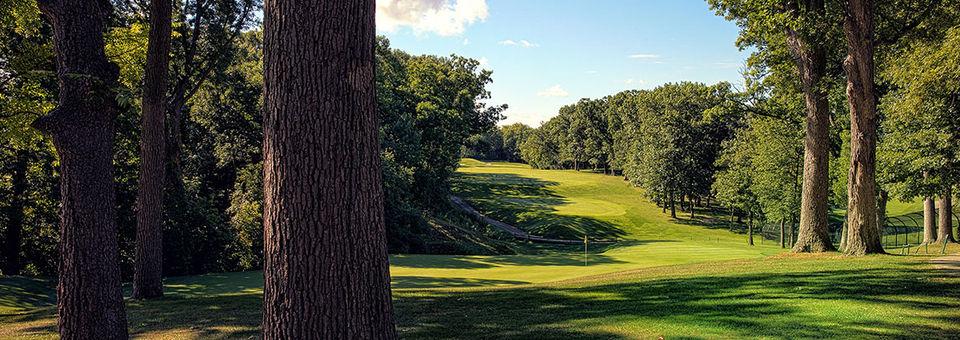 Cog Hill Golf & Country Club Course No. 2 - Ravines - photo 5