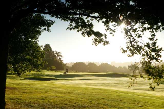 Hadley Wood - photo 5