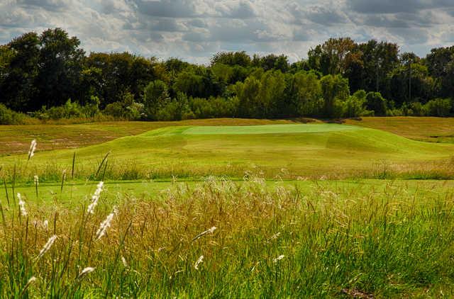 Meadowbrook Farms Golf Club - photo 4