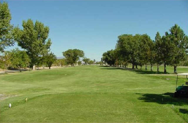 Walker Lake Golf Course - photo 1