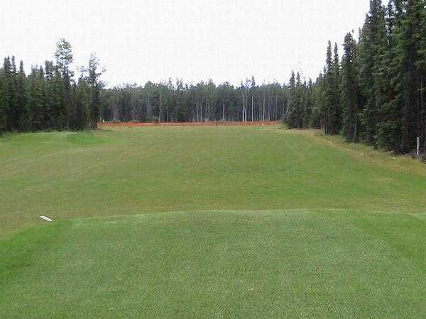 Bird Homestead Golf Course - photo 4