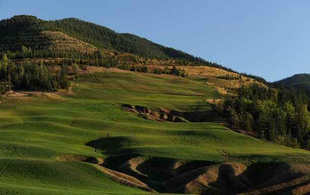 Galena Ridge at Silver Mountain Resort - photo 3