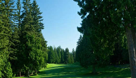 Sahalee Country Club - photo 3
