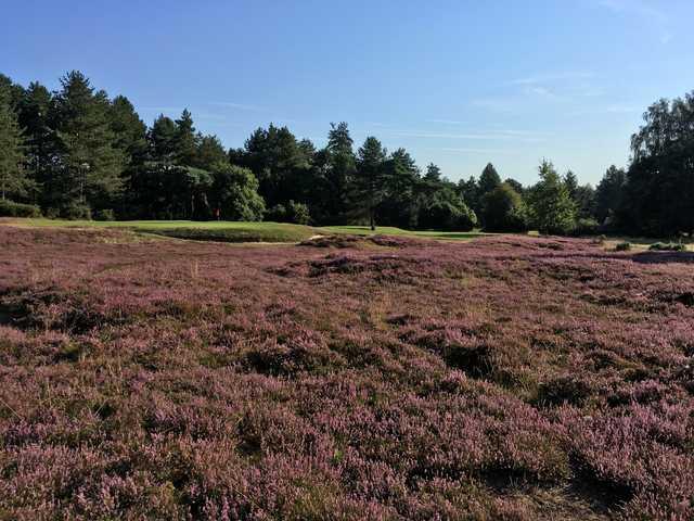 Thetford Golf Club