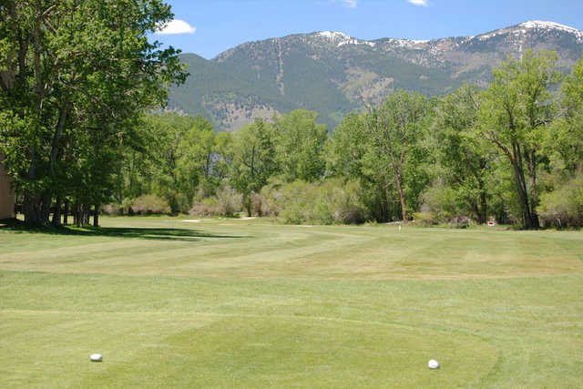 Collegiate Peaks Golf Course - photo 2