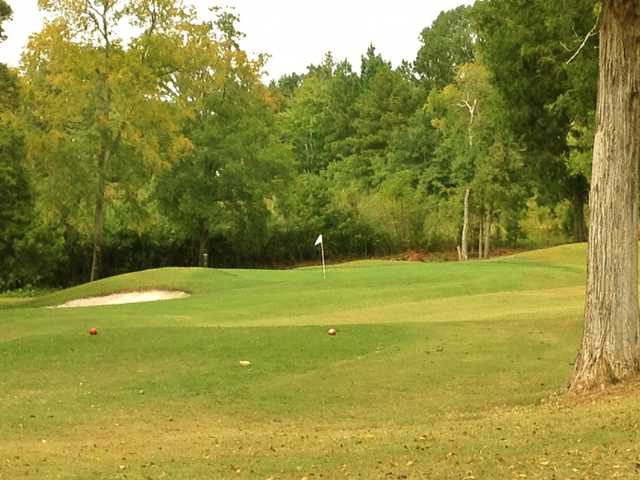 The Fields Golf Club - photo 2