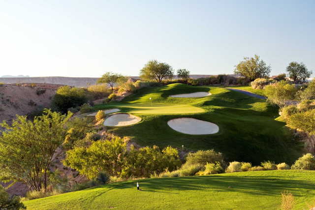 Oasis Golf Club - Palmer - photo 3