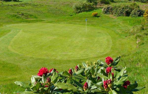 Coxmoor Golf Club - photo 6