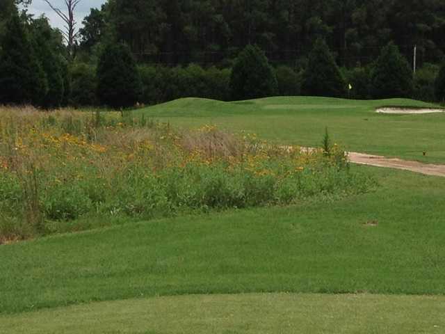 Penny Branch - photo 1