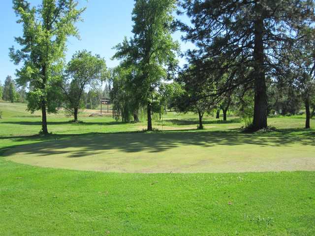 Gator Creek Golf Course - photo 1