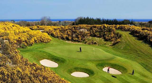 Druids Glen - photo 1