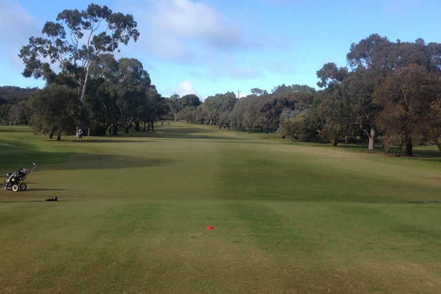 The Vines Golf Club of Reynella - photo 4