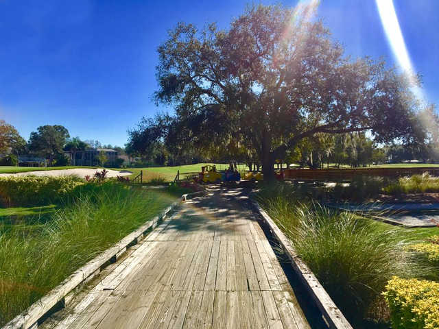 Carrollwood Country Club - photo 8