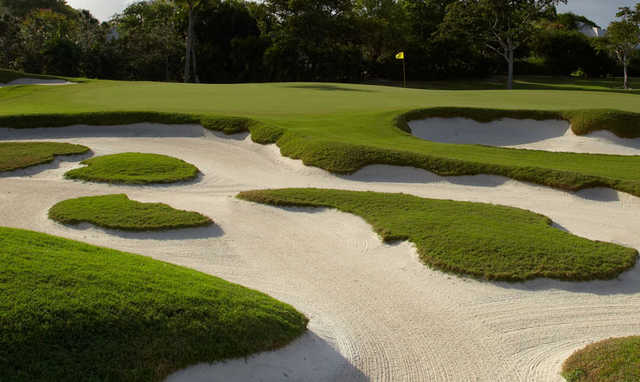 Pine Tree Golf Club - photo 2