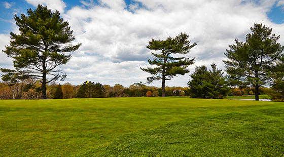 Chantilly National Golf & Country Club - photo 5
