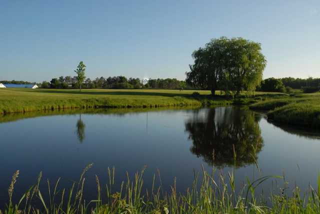Bangor Municipal Golf Course - photo 6