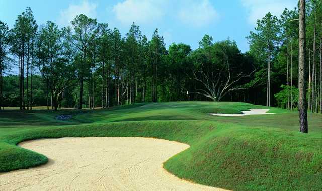 The Oaks Golf Club - photo 6