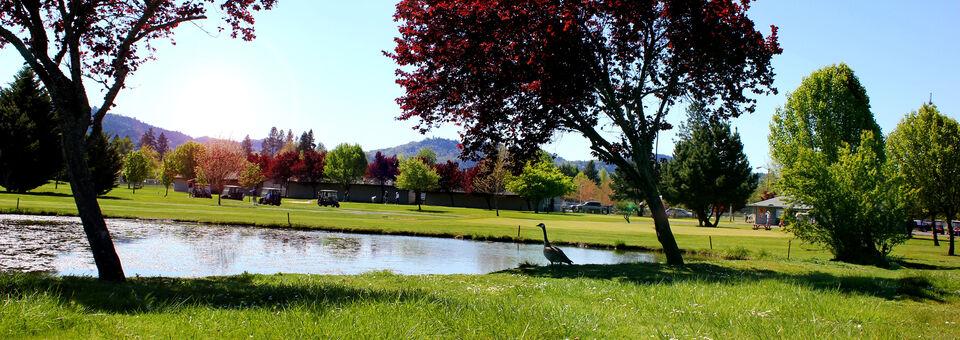Stewart Park Municipal Golf Course - photo 4