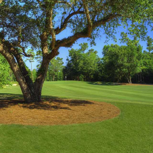 The Oaks Golf Club - photo 4