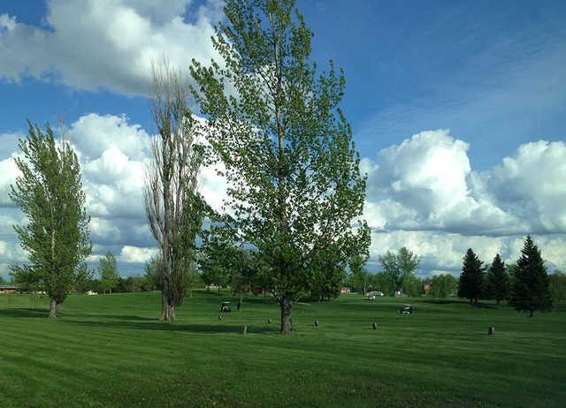 Webster Golf Course - photo 1