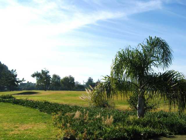 Corica Park - Mif Albright Par 3