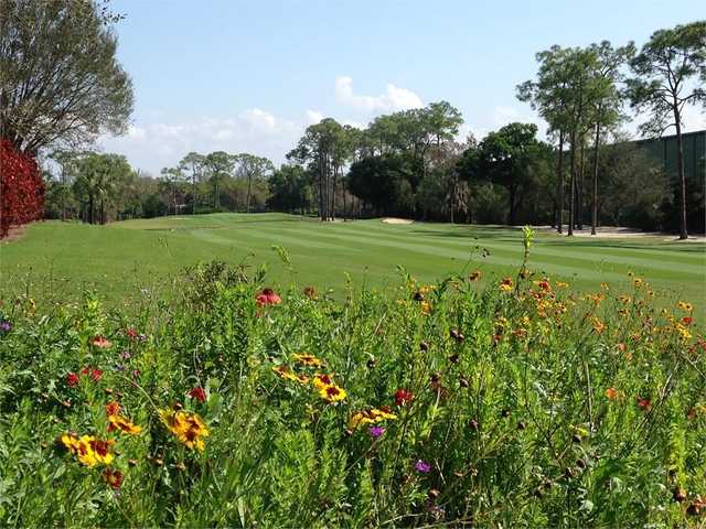 The Hideaway Country Club - photo 6