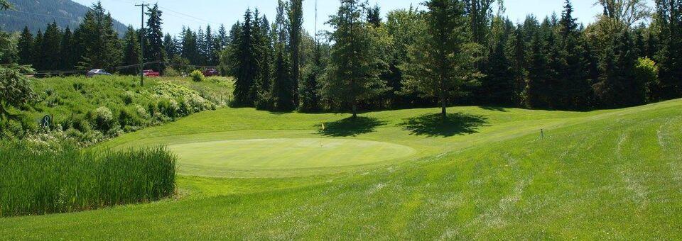 Club Shuswap Golf and RV - Lakeview Greens - photo 4