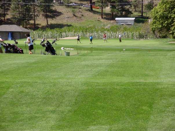 Summerland Golf & Country Club - photo 3