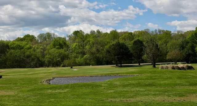Lynrock Golf Course - photo 2