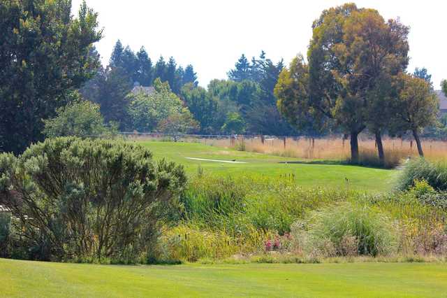 Rooster Run Golf Club