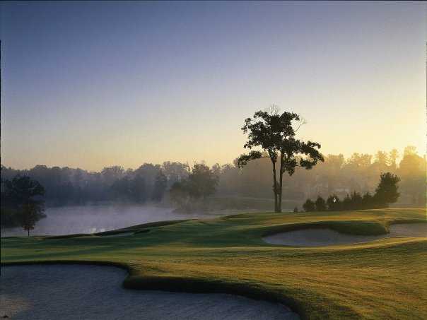 TPC Sugarloaf Golf Club - photo 8