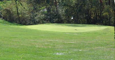 Timber Lake - photo 2
