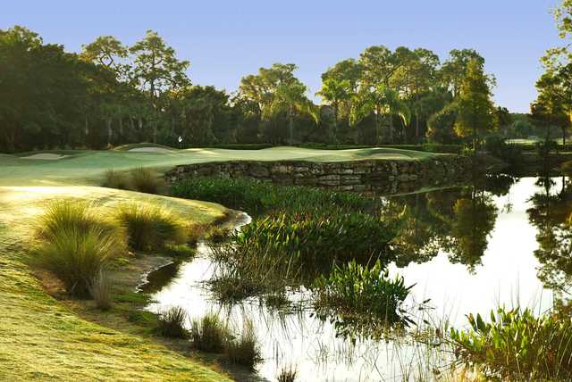 The Forest Country Club