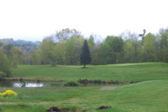 Brunswick Greens - photo 3