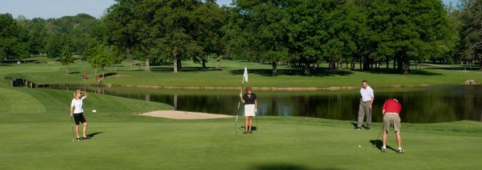 Big Met Golf Course - photo 4