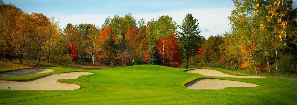The Loon Golf Resort - The Lakes - photo 6