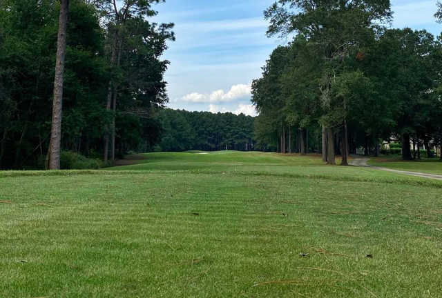 The Bridges at Tartan Pines - photo 2