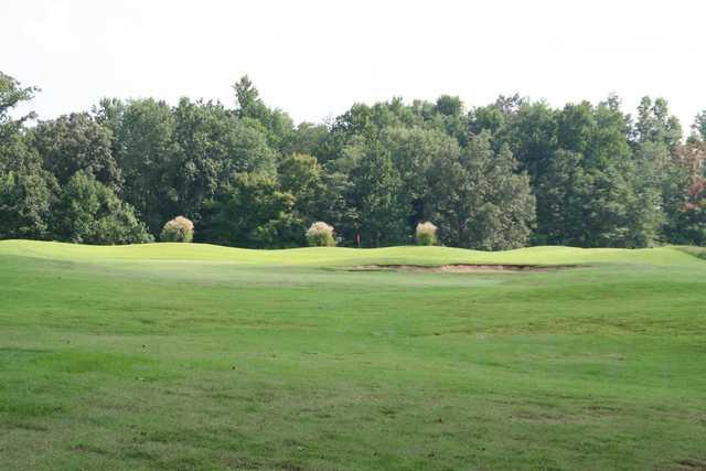 Arrowhead - photo 2