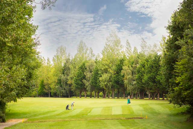 Bulbury Woods Golf Club - photo 4