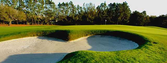Carrollwood Country Club - photo 7