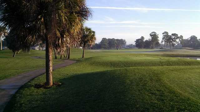 Palms - photo 2