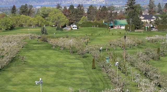 Orchard Greens Golf Club - photo 2