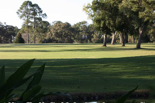 Griffin Bell Golf Course - photo 3