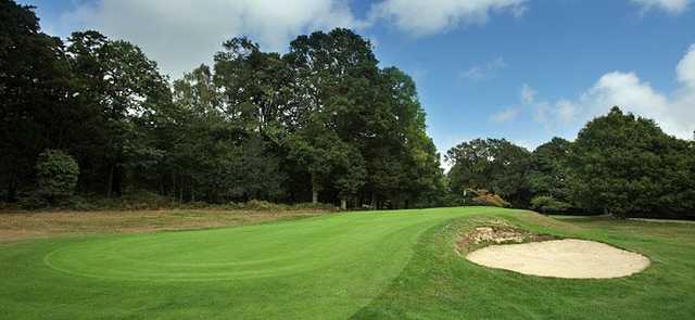 Stoneham Golf Club - photo 6
