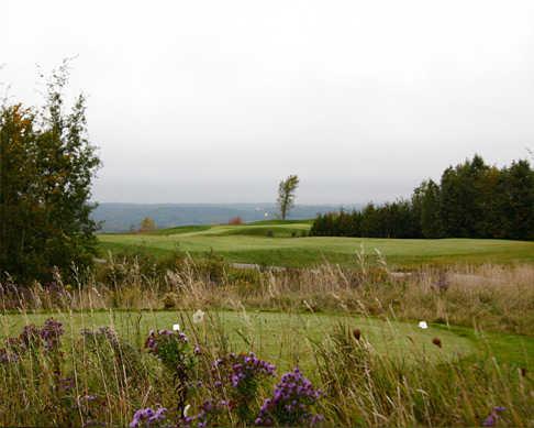 Hockley Valley Resort - photo 8