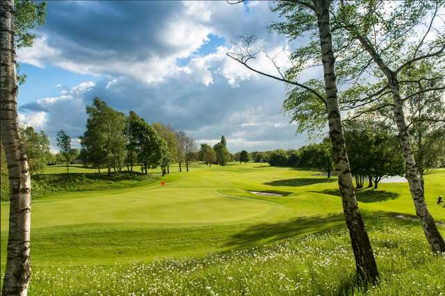 Golfclub Olching e.V. - photo 5