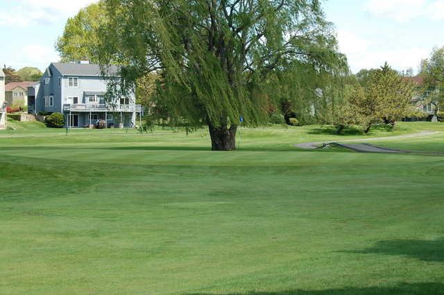 Louisquisset Golf Club - photo 3