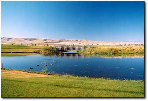 Wildhorse Resort Golf Course - photo 4