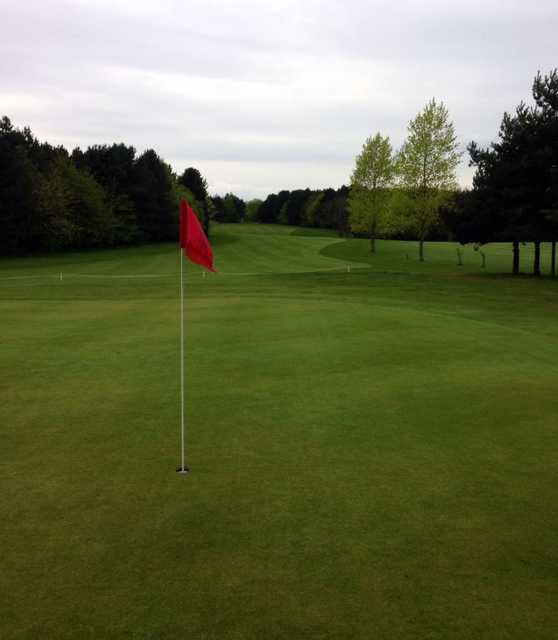 The Millbrook Golf Club - photo 3